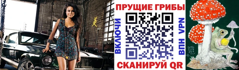 Псилоцибиновые грибы прущие грибы  наркошоп  Санкт-Петербург 